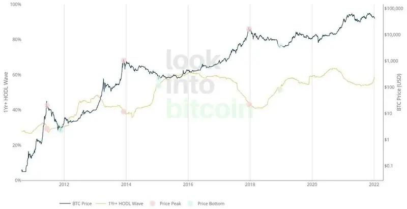 1Y+ HODL Waveのチャート