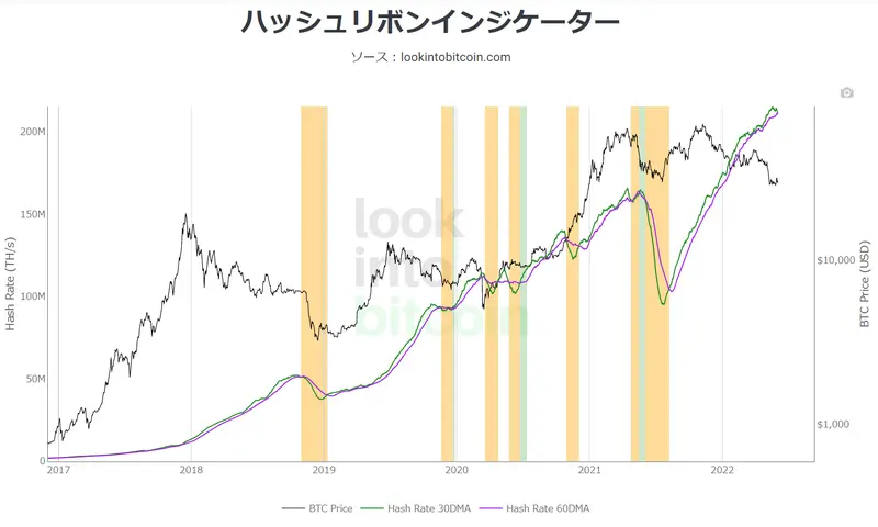 ハッシュリボンデータ